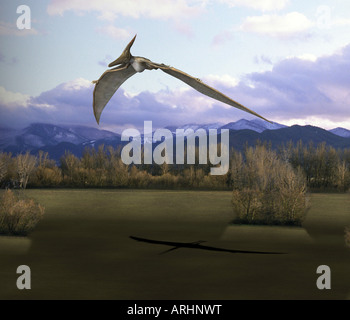 Dinosaurier Pteranodon Stockfoto