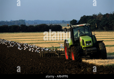 Feld auf einer Farm in Bawdsey nahe Woodbridge, Suffolk, UK gepflügt wird. Stockfoto