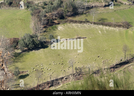Luftaufnahme des ländlichen Landschaft in Portugal (Cabeceiras de Basto) Stockfoto