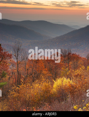 Ansicht des Shenandoah National Park von Skyline Drive. Stockfoto