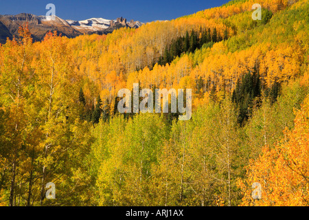 Die Schlösser gesehen aus Ohio Creek Pass Road, Gunnison, Colorado, USA Stockfoto