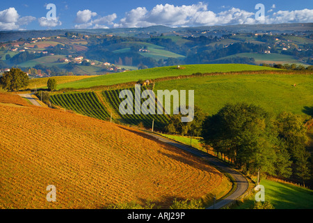 Landschaft in den Pays Basque Frankreich Stockfoto