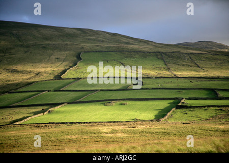 Birker fiel Seenplatte Stockfoto