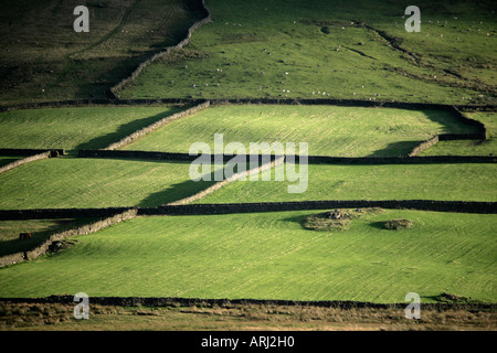 Birker fiel Seenplatte Stockfoto