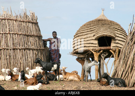 Toposa Dorf mit Ziegen und Schafen, Sudan Stockfoto