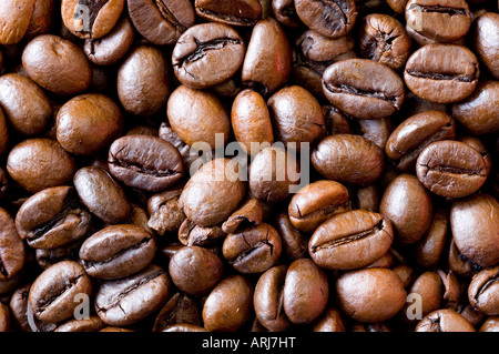 Eine Nahaufnahme von frisch gerösteten Bio Kaffee Bohnen Stockfoto