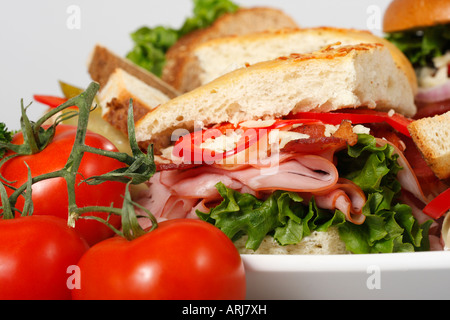 Eine Platte mit Sandwiches mit Gemüsegarnitur auf dem Esstisch Focaccia Bread and Bagel von oben in den USA horizontal niemand Hi-res Stockfoto