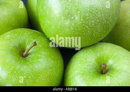 Frische grüne Bio-Äpfel, Stiele mit Tröpfchen Tau befestigt. Auf dem Display übereinander gestapelt Stockfoto