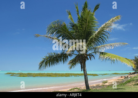 Stadtstrand Palm, Australien, Western Australia, Kimberley, Broome Stockfoto