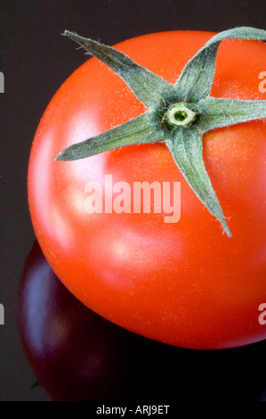 Ein frisches Bio Tomaten mit seinen Stiel befestigt auf einem schwarzen reflektierenden Hintergrund Stockfoto