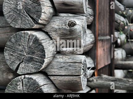 Blockhaus - Details im Porträt Stockfoto