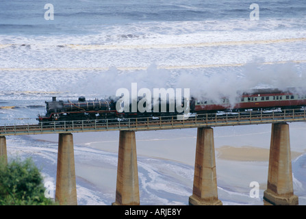 Garden Route, Outeniqua Choo-Tjoe am Kaimaans River Bridge, Südafrika Stockfoto