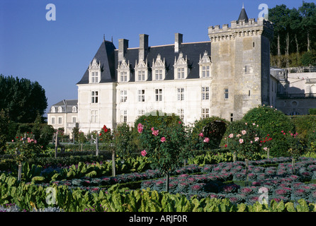 Schloss und Gärten einschließlich Gemüse im Gemüsegarten, Chateau de Villandry, Loire-Tal, Centre, Frankreich Stockfoto