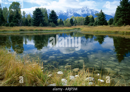Teton Mountains gesehen von Schwabachers Landung, Grand-Teton-Nationalpark, Wyoming, Vereinigte Staaten (USA), Nordamerika Stockfoto