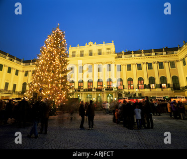 Weihnachtsbaum vor Schloss Schönbrunn in der Abenddämmerung, UNESCO-Weltkulturerbe, Wien, Austria, Europe Stockfoto