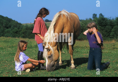 drei Mädchen mit Pferd auf der Wiese Stockfoto