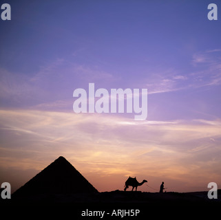 Kamel und Pyramide in der Silhouette, Gizeh, in der Nähe von Kairo, Ägypten, Nordafrika, Afrika Stockfoto