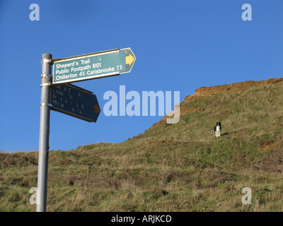 Wanderweg-Zeichen für Schäfers Trail, Isle Of Wight mit Border Collie im Hintergrund. Stockfoto