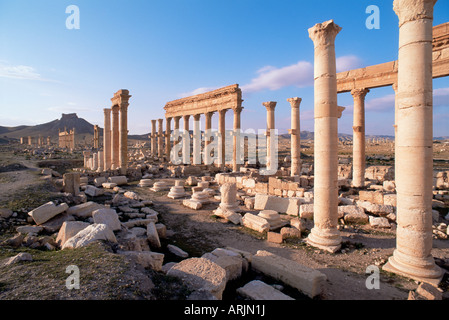 Große Kolonnade und die Arabische Burg über Palmyra, UNESCO-Weltkulturerbe, Syrien, Naher Osten Stockfoto