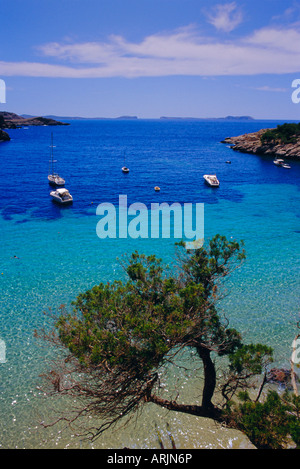 Blick auf Cala Salada, Sant Antoni, Ibiza, Balearen, Spanien, Europa Stockfoto