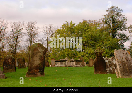 Linden und eine Eiche mit Herbstlaub hinter schiefen Grabsteinen Stockfoto