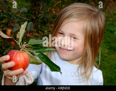 Junges Mädchen pflücken Äpfel Stockfoto