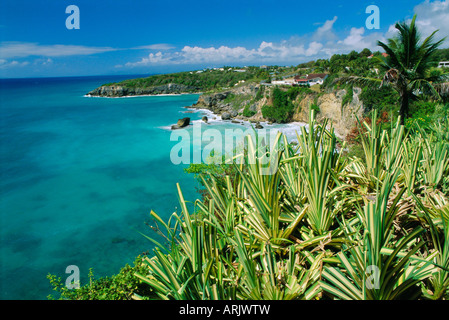 Guadeloupe, Französische Antillen, Karibik, Caribbean Stockfoto