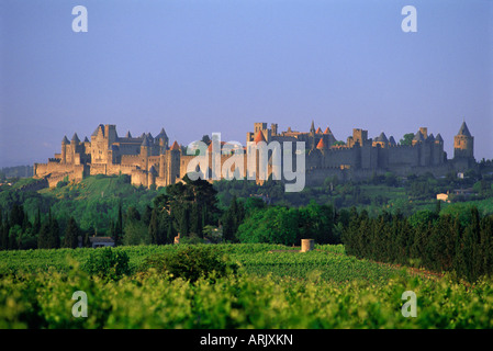 Die mittelalterliche Stadt Carcassonne, Aude, Languedoc-Roussillon, Frankreich, Europa Stockfoto