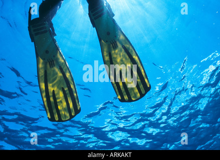 Flossen, Blick vom Unterwasser, New Caledonia Stockfoto