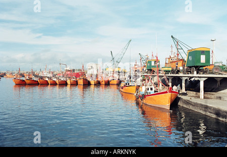 Fischereiflotte im Hafen, Mar Del Plata, Argentinien, Südamerika Stockfoto