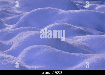 Schnee bedeckt Heidekraut, Schottland, UK, Europa Stockfoto