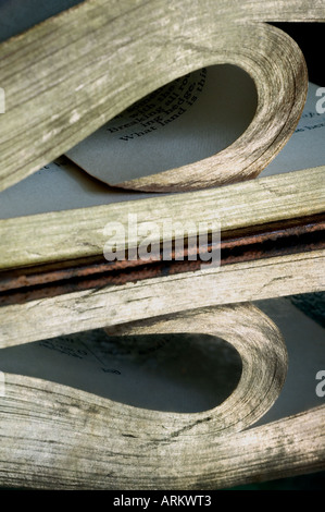 Goldbuch mit gewellten Seiten auf alte Spiegel Stockfoto