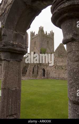 Jerpoint Abbey, Grafschaft Kilkenny, Leinster, Irland (Eire), Europa Stockfoto