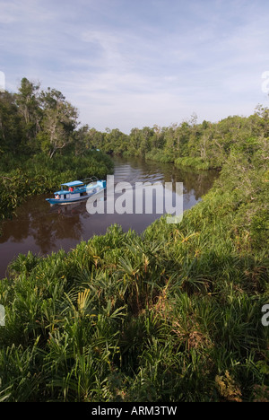 Boot Heads-up Fluss in Tanjung Puting Nationalpark, Indonesien, Borneo Stockfoto