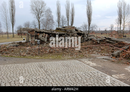 Reste des Krematoriums und Gaskammer Auschwitz Birkenhau Stockfoto