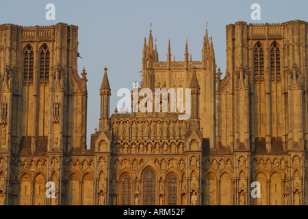 Wells Cathedral Somerset West Gesicht mit Figuren, die in der Abendsonne beleuchtet Stockfoto