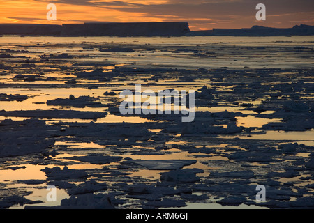 Packeis, antarktische Halbinsel, Weddellmeer, Antarktis, Polarregionen Stockfoto