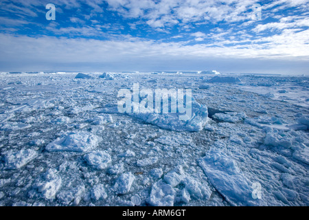 Packeis und Eisberge, antarktische Halbinsel, Weddellmeer, Antarktis, Polarregionen Stockfoto