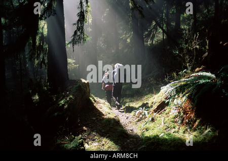 Backpacker in dampfenden Licht, Queets Vall, Olympic National Park, UNESCO-Weltkulturerbe, US-Bundesstaat Washington, Vereinigte Staaten (USA) Stockfoto