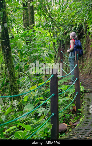 Ein Besucher auf den Arenal Hanging Bridges Trail Arenal Costa Rica Stockfoto