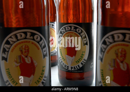 Timothy Taylors Vermieter Bier in Flaschen. Aus Keighley, West Yorkshire. Betrunken von Popstar Madonna. Stockfoto