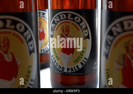 Timothy Taylors Vermieter Bier in Flaschen. Aus Keighley, West Yorkshire. Betrunken von Popstar Madonna. Stockfoto