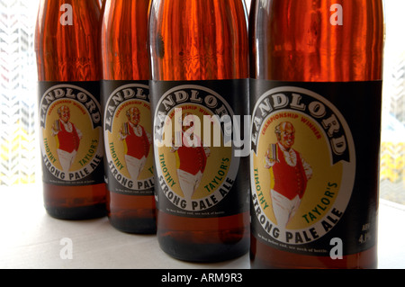 Timothy Taylors Vermieter Bier in Flaschen. Aus Keighley, West Yorkshire. Betrunken von Popstar Madonna. Stockfoto