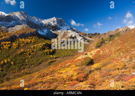 Herbst Farben, Yading Nature Reserve, Provinz Sichuan, China, Asien Stockfoto