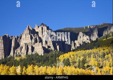 Espen in Herbstfarben mit Bergen und Evergreens, in der Nähe von Silver Jack, Uncompahgre National Forest, Colorado, USA, Nordamerika Stockfoto