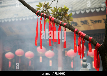 Baum mit Gebet Bänder, Jade-Buddha-Tempel, Shanghai, China, Asien Stockfoto