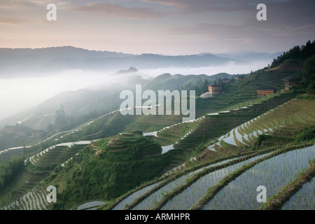 Sonnenaufgang, Longsheng terrassierten Reisfelder, Provinz Guangxi, China, Asien Stockfoto