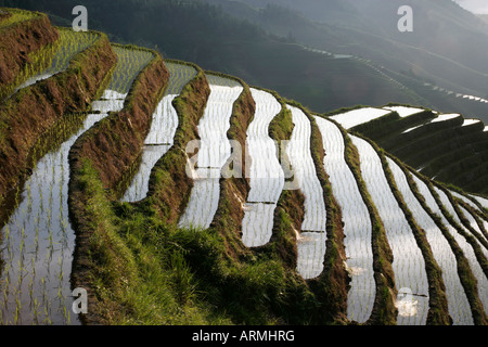 Longsheng terrassierten Reisfelder, Provinz Guangxi, China, Asien Stockfoto