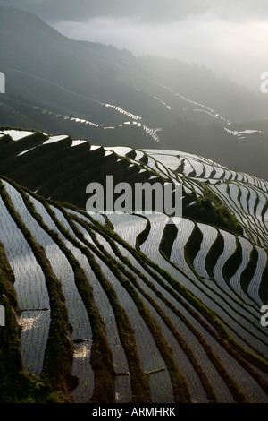 Juni Sonnenaufgang, terrassierten Longsheng Reisfelder, Provinz Guangxi, China, Asien Stockfoto