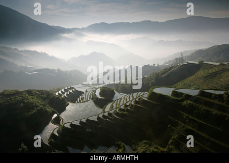 Juni Sonnenaufgang, terrassierten Longsheng Reisfelder, Provinz Guangxi, China, Asien Stockfoto